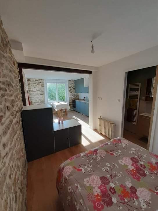 Superbe studio, avec cuisine et espace extérieur Plouguerneau Exterior foto
